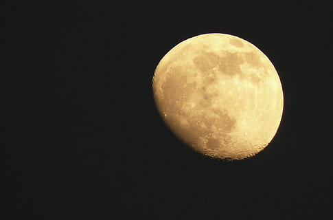 moon, september moon, satellite, moonlight, night, luna, full moon HD wallpaper