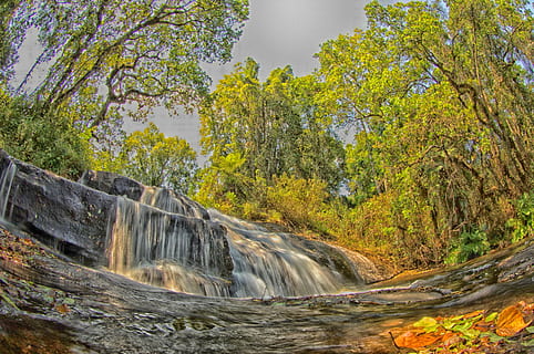 Malawi, Landscape, Stream, Water, cascade, cascading, leaves HD wallpaper