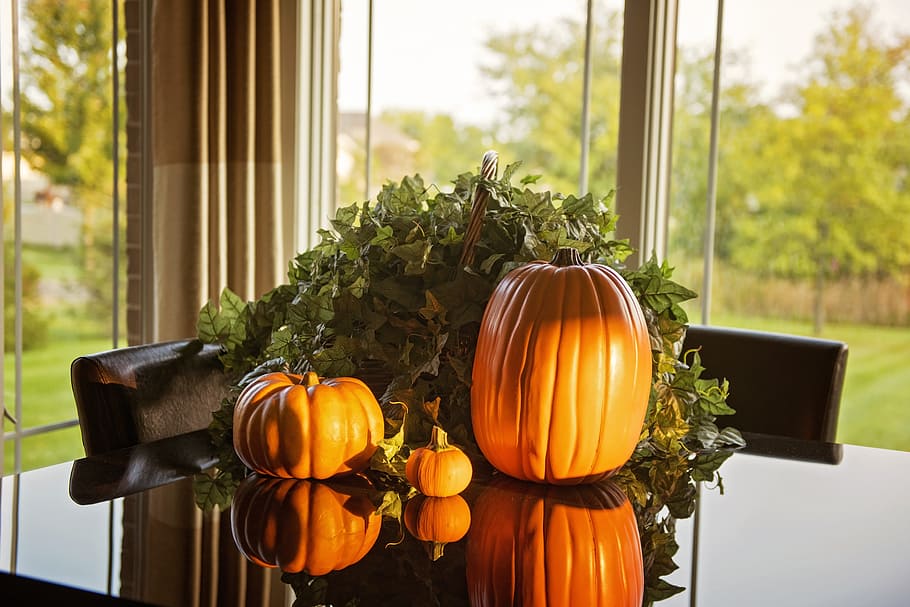 pumpkins on top of glass table, fall, morning, thanksgiving HD wallpaper