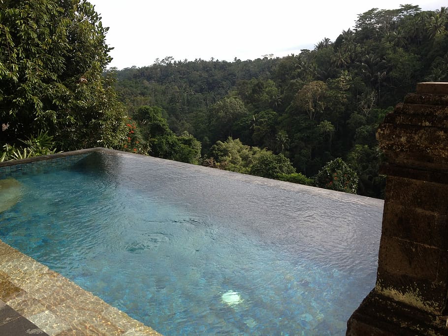 Bali, Pool, Hotel, Villa, wulandari, asia, jungle, ubud, water, HD wallpaper