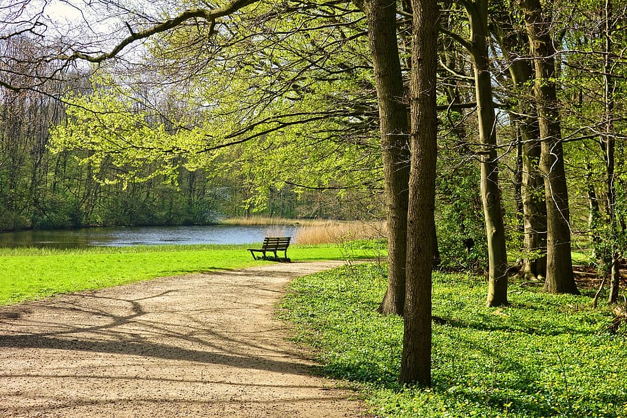 empty road with bench chair facing body of water during daytime HD wallpaper