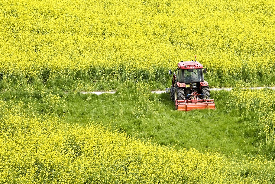spring, field, farming, farmer, plant, growth, land, nature HD wallpaper