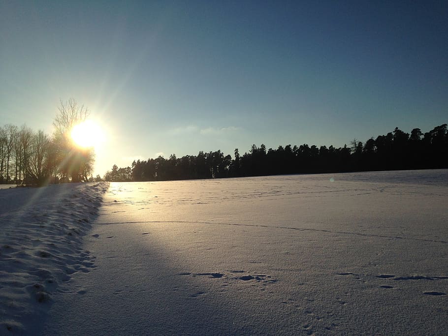 wintry, nature, sky, tranquility, tranquil scene, sunlight HD wallpaper