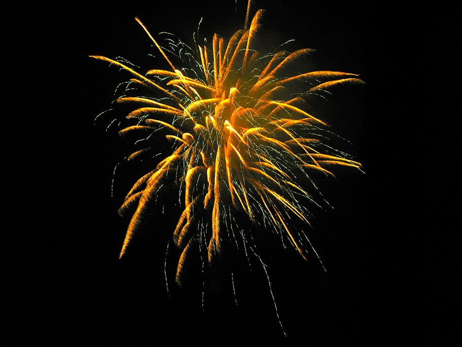 Fireworks, Celebration, Park, summer, outdoors, evening, japan HD wallpaper