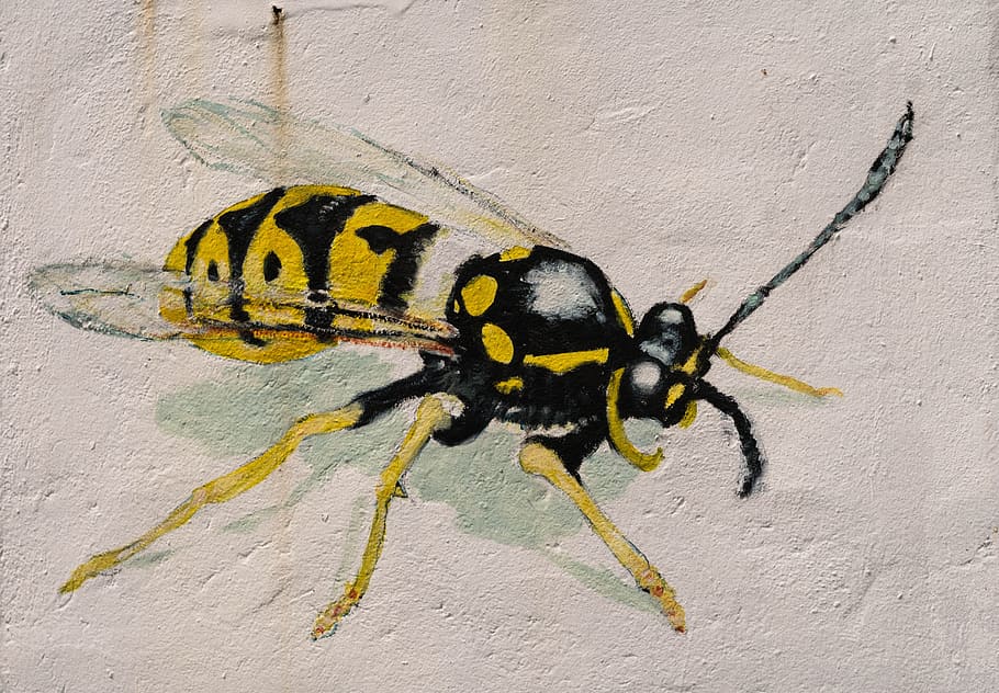 wasp, wall, graffiti, art, house facade, painted wall, sprayer HD wallpaper