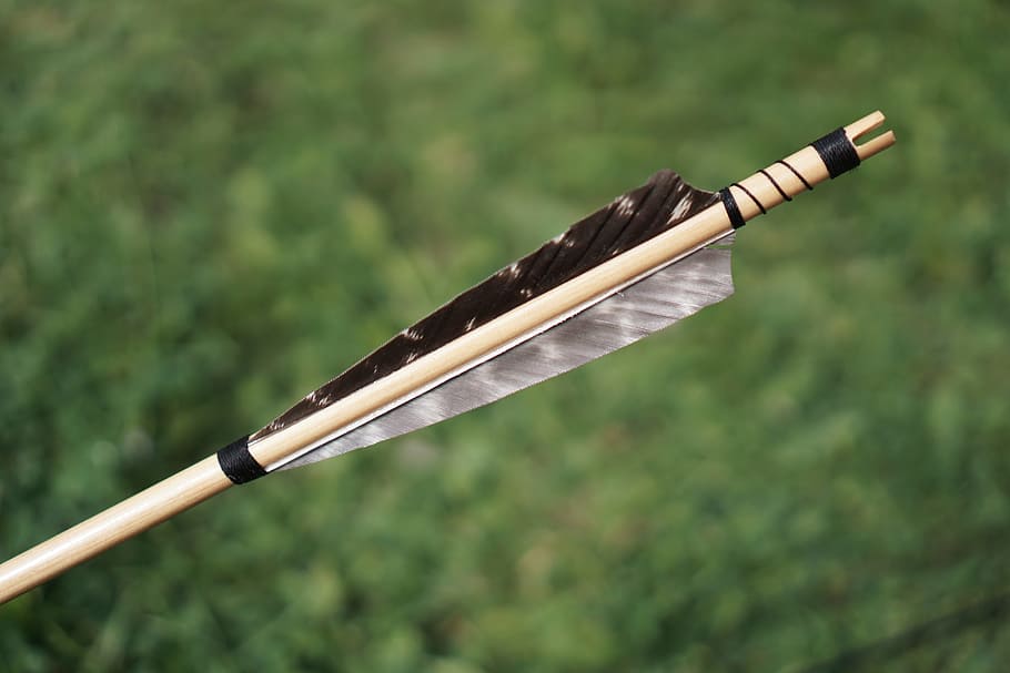 Arrow Feather Stock Selective Focus, archery, arrows, blur, bow HD wallpaper