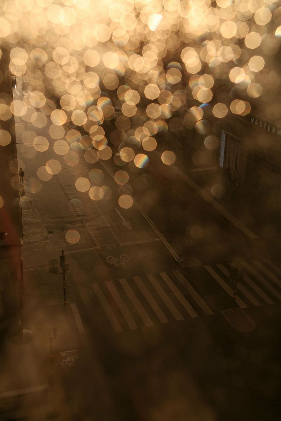 bokeh photography of orange lights over highway road, rain HD wallpaper