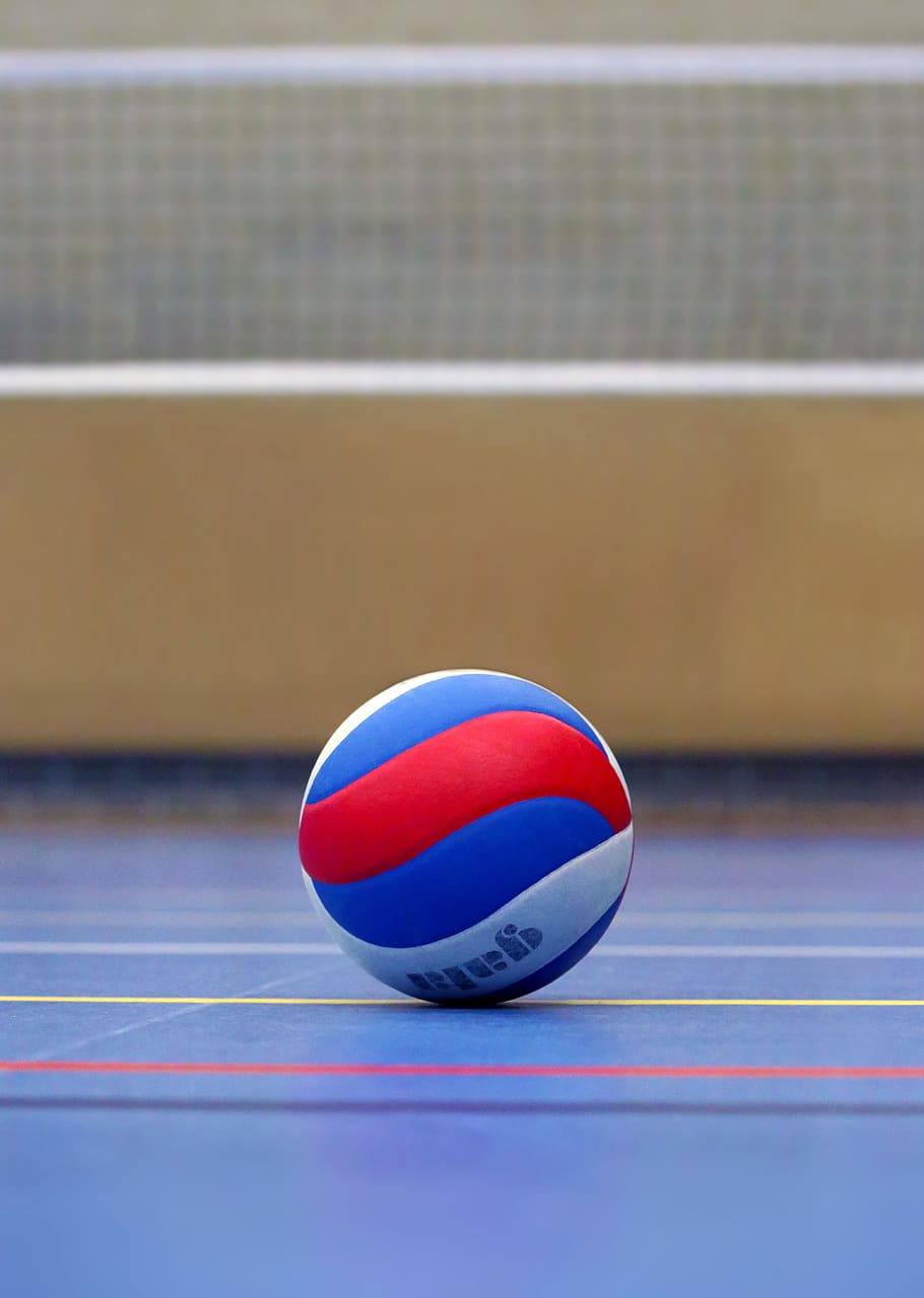 blue, white, and red volleyball ball near white net on ground