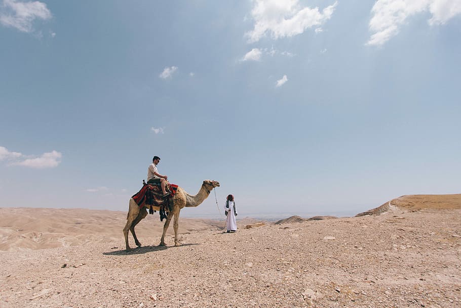 man riding a camel, outdoors, men, adult, women, color Image HD wallpaper