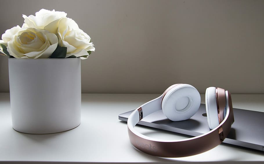 Beats headphones on top of MacBook, flower, floral, design HD wallpaper