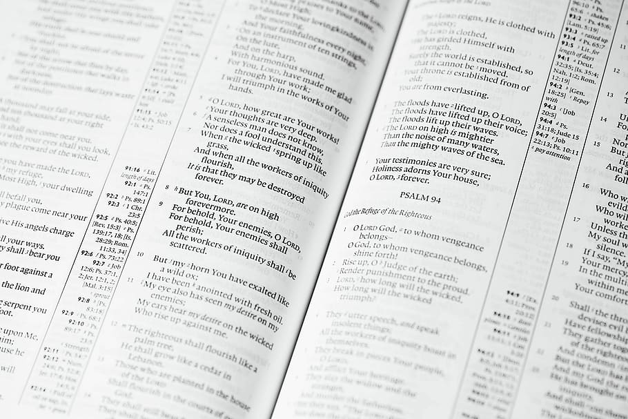 white book page, untitled, word, text, paper, note, no people HD wallpaper