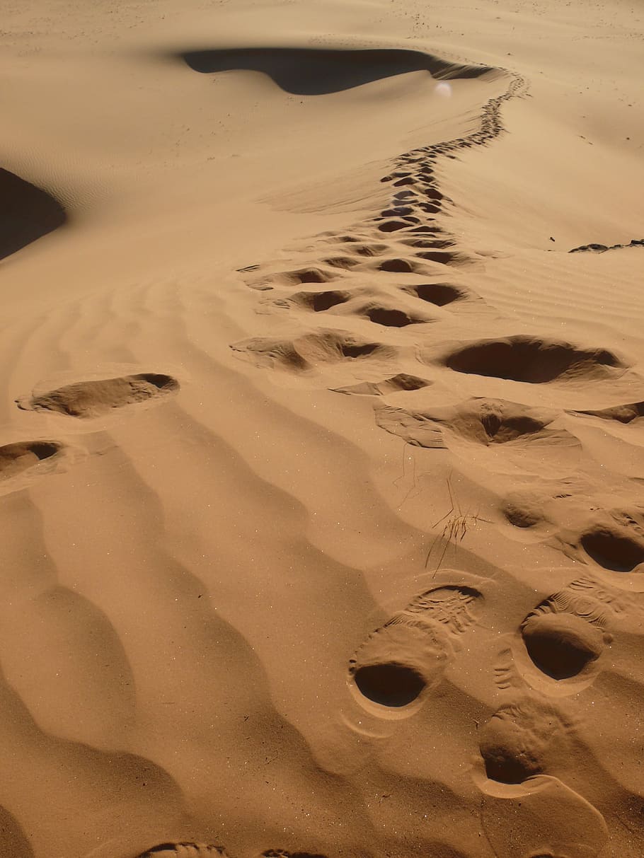 Algeria, Desert, Traces, sand, no people, nature, outdoors HD wallpaper