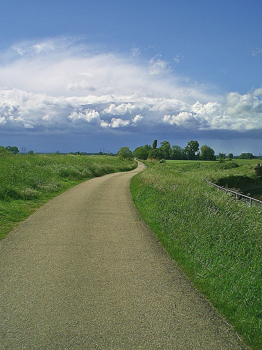 sun, clouds, landscape, rest, sky, cloud - sky, plant, the way forward HD wallpaper