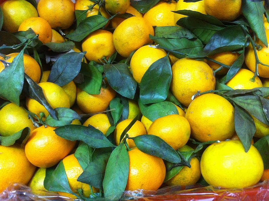 Mandarins, Fruit, Tasty, food and drink, freshness, healthy eating HD wallpaper