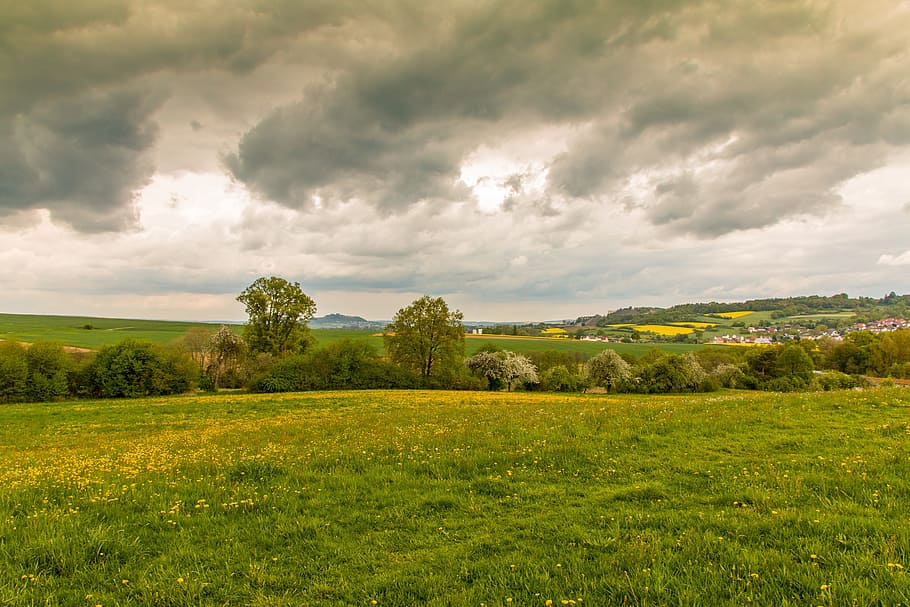 landscape, sky, clouds clouds, stormy, dandelion, meadow, sun HD wallpaper