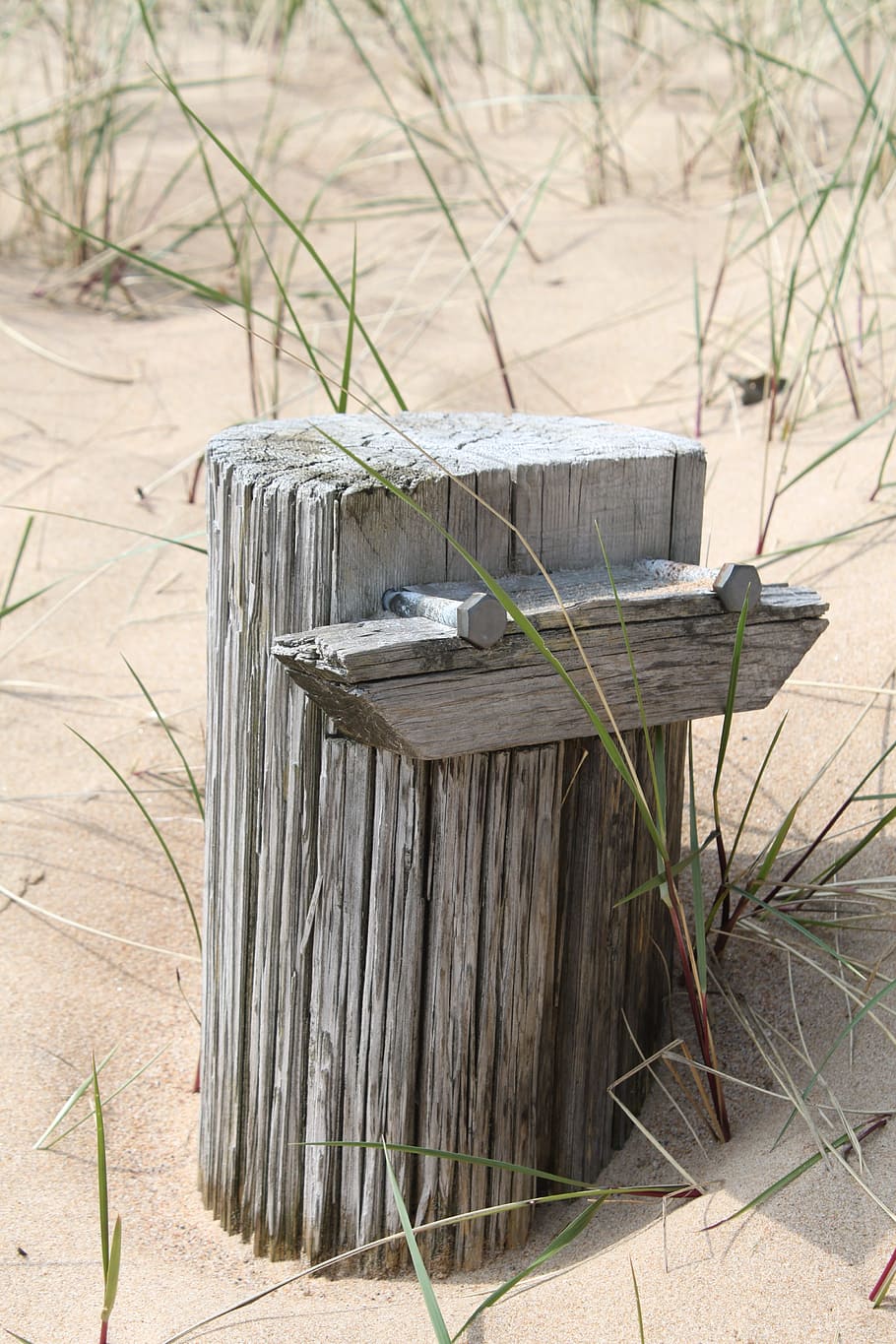 beach, sand, stump, nature, summer, coastal, strandgräs, driftved HD wallpaper