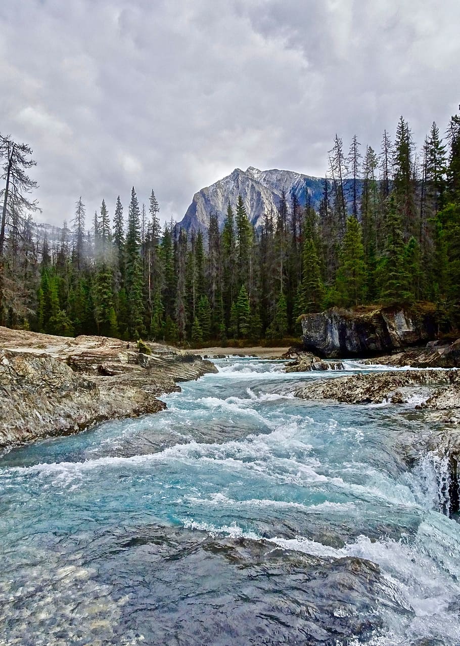 Rapids, Waterfall, Cascades, Scenery, environment, mountain HD wallpaper