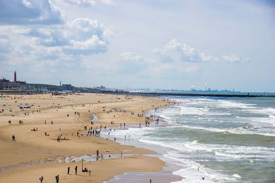 beach, sea, coast, scheveningen, sand, coastline, people, water HD wallpaper