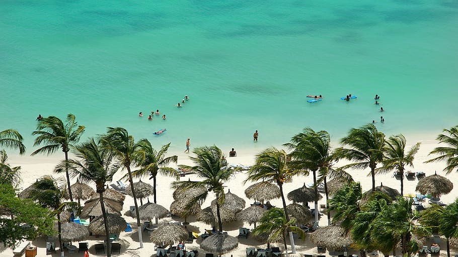Chillaxing in Aruba, high-angle photo of people in beach near hut and coconut trees HD wallpaper