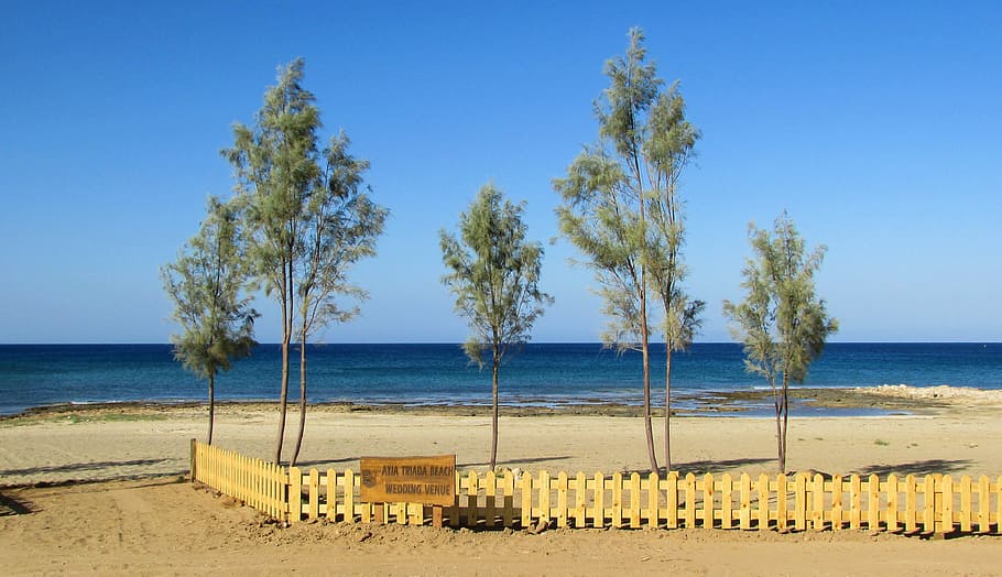 cyprus, ayia triada, beach, trees, fence, scenic, water, sea