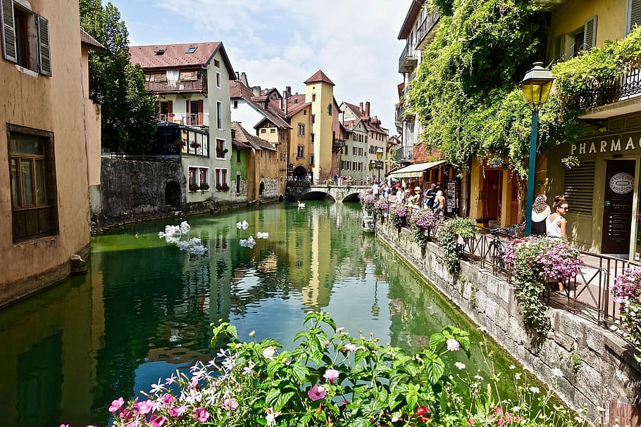 city canal at daytime, annecy, architecture, tourism, travel