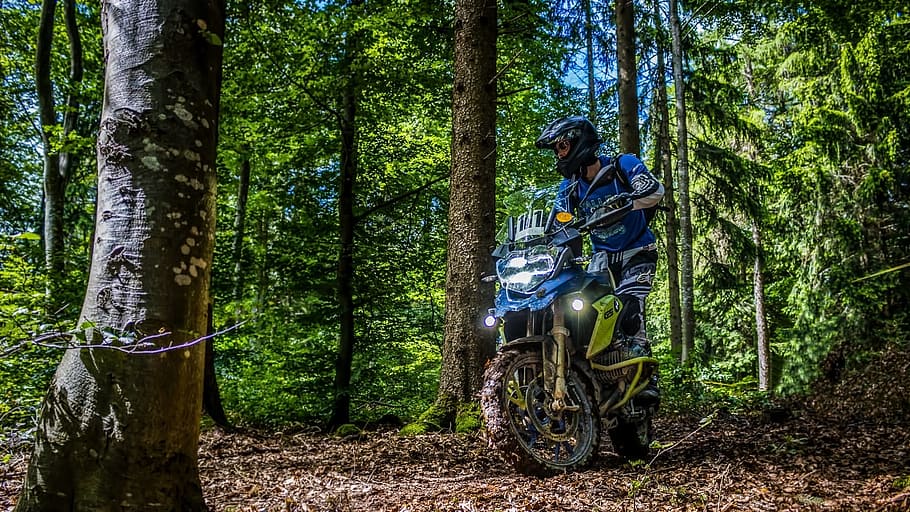 bmw, gs1200, enduro, tree, forest, real people, one person HD wallpaper