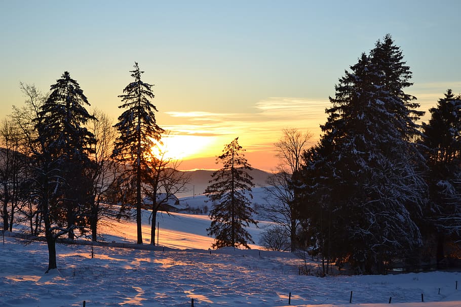 black forest, sunset, back light, lighting, sky, panorama, st peter HD wallpaper