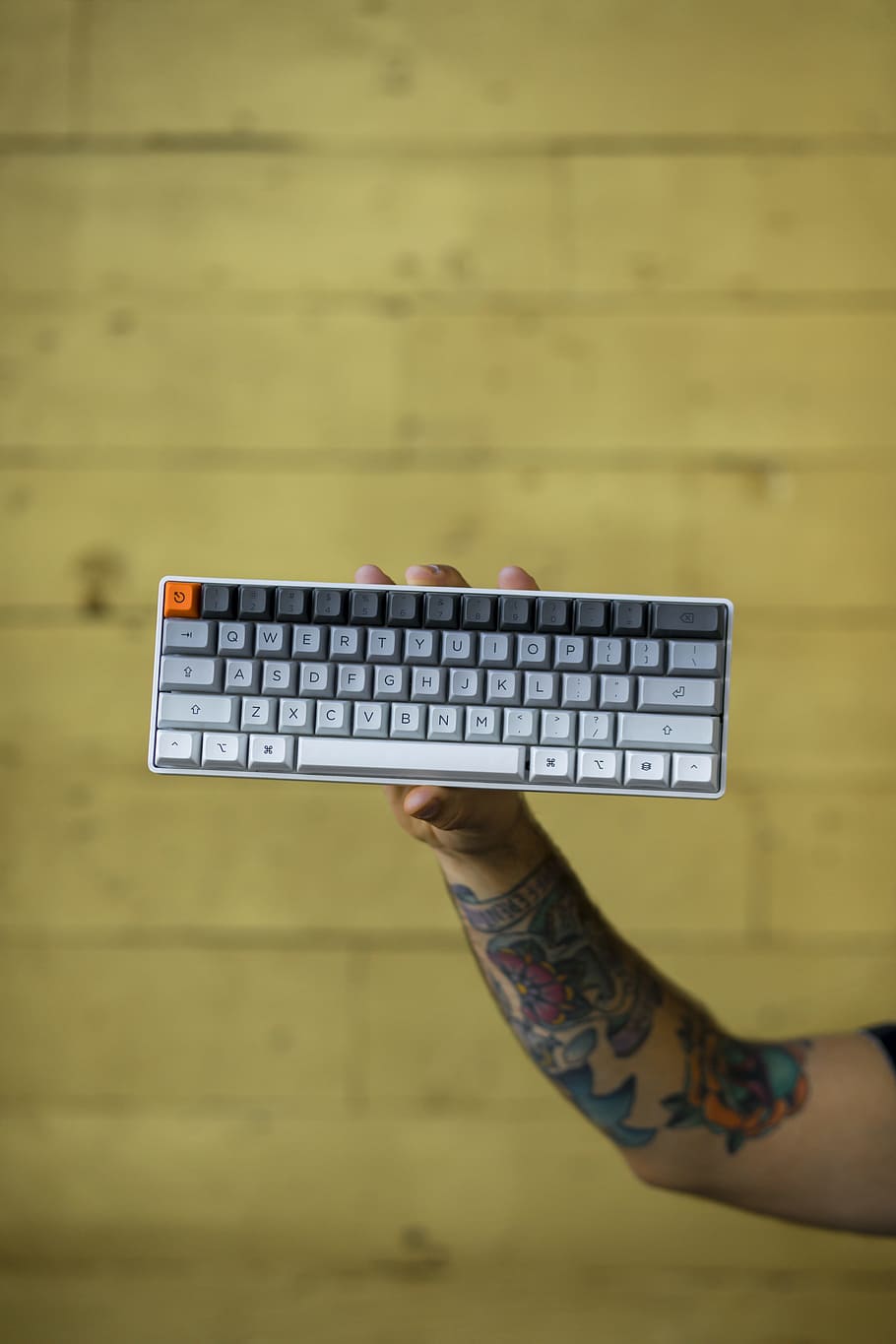 person holding multicolored wireless computer keyboard, person holding grey and black computer wireless keyboard HD wallpaper