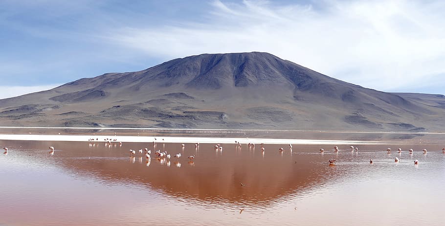 Laguna, Colorada, Bolivia, reflection, mountain, water, nature, HD wallpaper