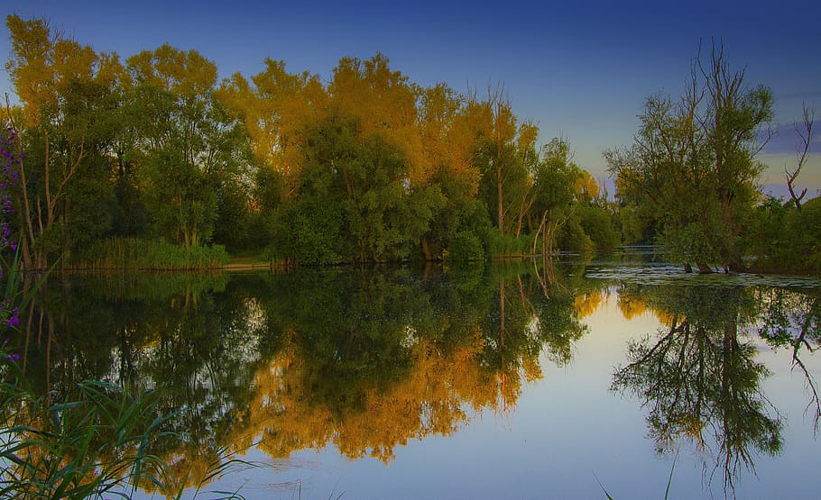 Trees, Reflection, Landscape, Water, rural, autumn, scene, nature HD wallpaper