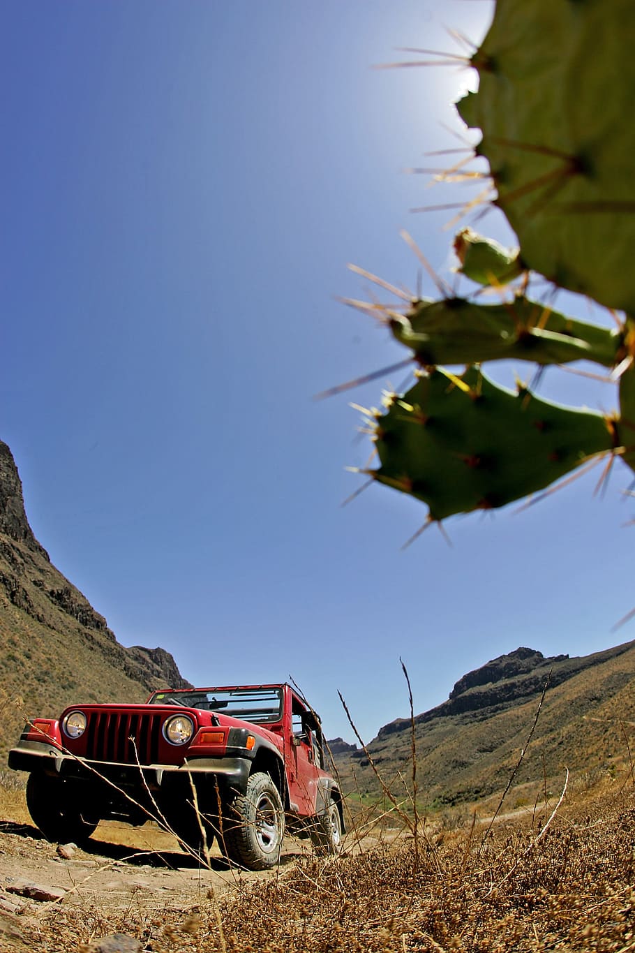 jeep, mountain, offroad, landscape, cactus, adventure, extreme HD wallpaper