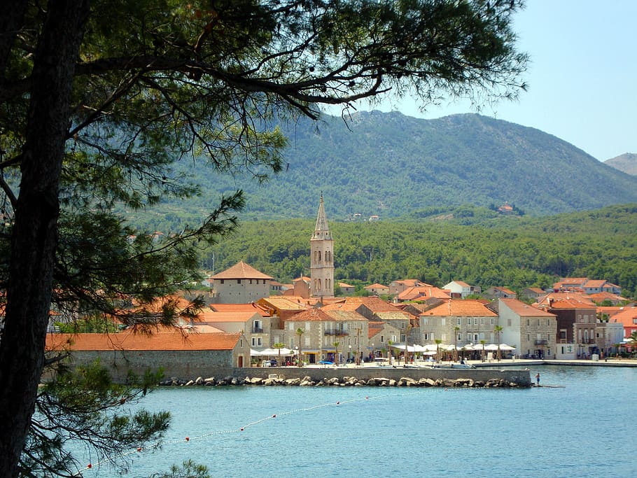 nature, town, sea, tree, harbour, jelsa, hvar, croatia, plant, HD wallpaper