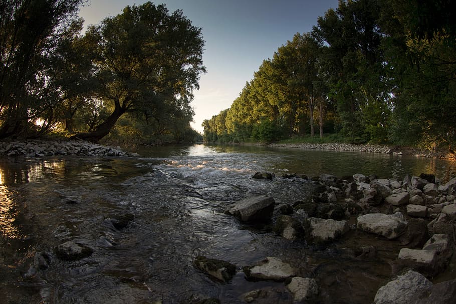 Landscape, Rhine, Aue, Rapids, natural landscape, tree, reflection HD wallpaper