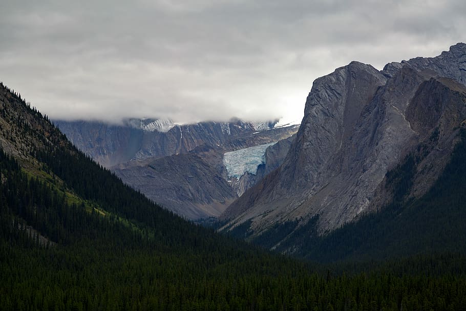 rockhills during daytime, mountain, forest, tree, cloud, fog HD wallpaper