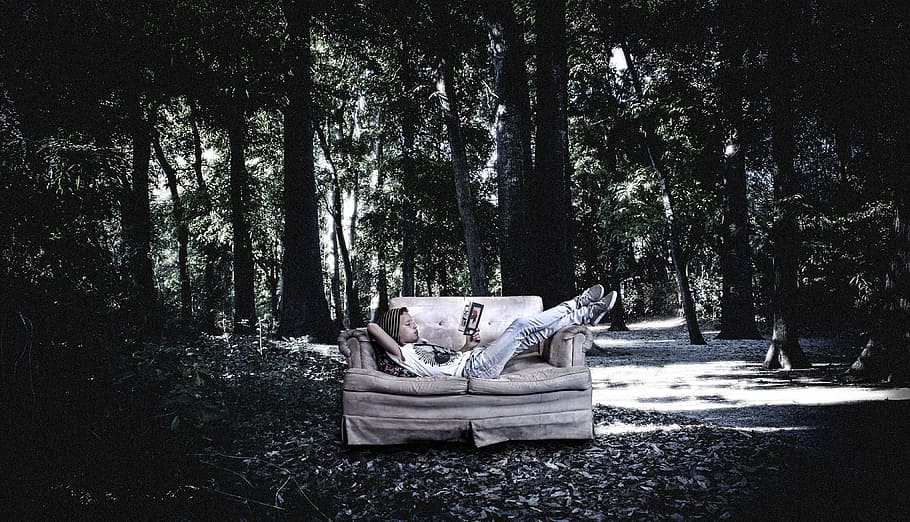 surrealism, forest, reading, nature, mountain, tree, trees HD wallpaper