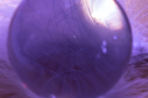 glass ball, spring, ease, airy, spring dress, bird feather HD wallpaper