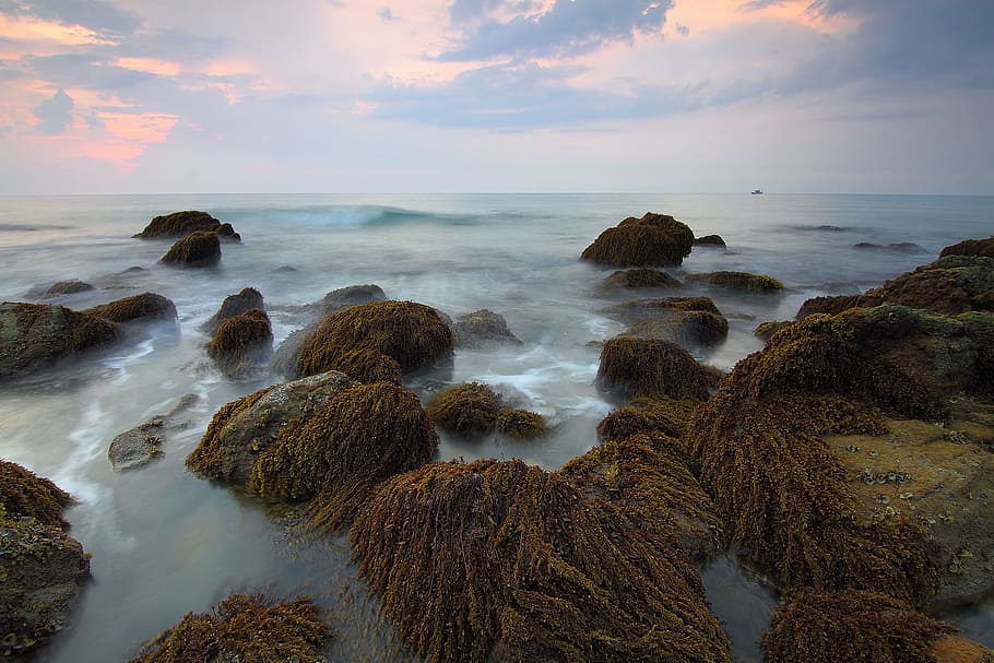 sea, landscape, nature, sky, beach, clouds, moss, ocean, outdoors HD wallpaper