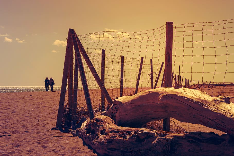 beach, sky, sea, trunk, day, tomorrow, light, costa, holiday HD wallpaper