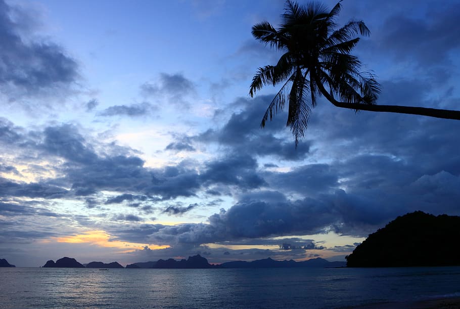 Palm Tree, Beach, Islands, Clouds, sunset, water, sea, vacation HD wallpaper