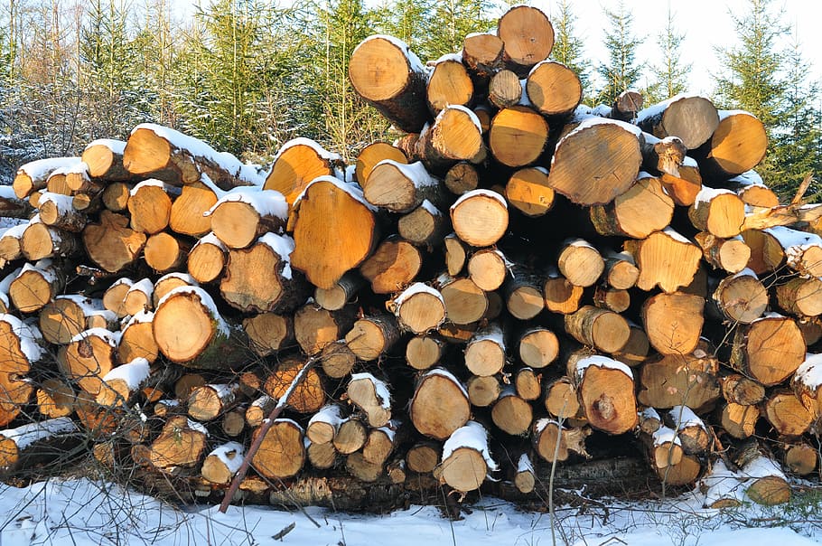 wood, tree, piles, winter, stack, lumber industry, timber, log HD wallpaper