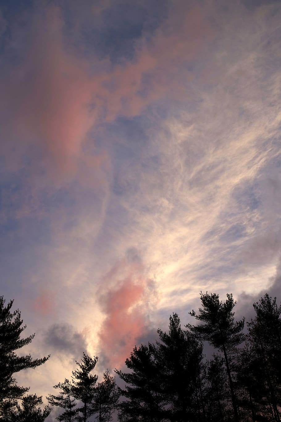 clouds, sky, trees, nature, sunset, cloud - Sky, outdoors, forest HD wallpaper