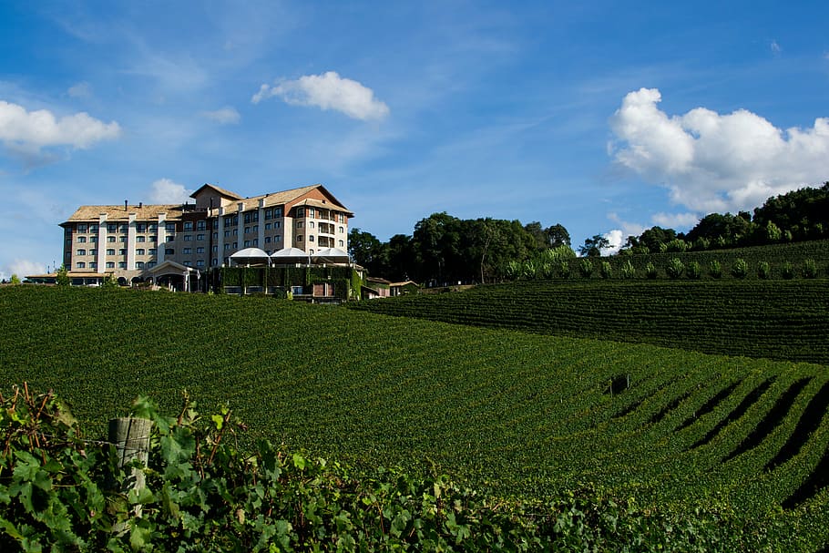 white house in the field during daytime, bento gonçalves, winery
