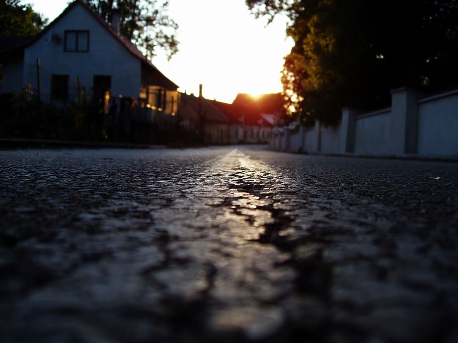 path, sun, west, line, tree, summer, sunset, landscape, rays HD wallpaper