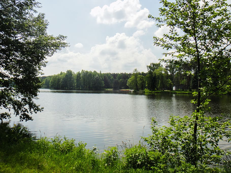lake, grass, tree, nature, landscape, pond, sky, clouds, view HD wallpaper