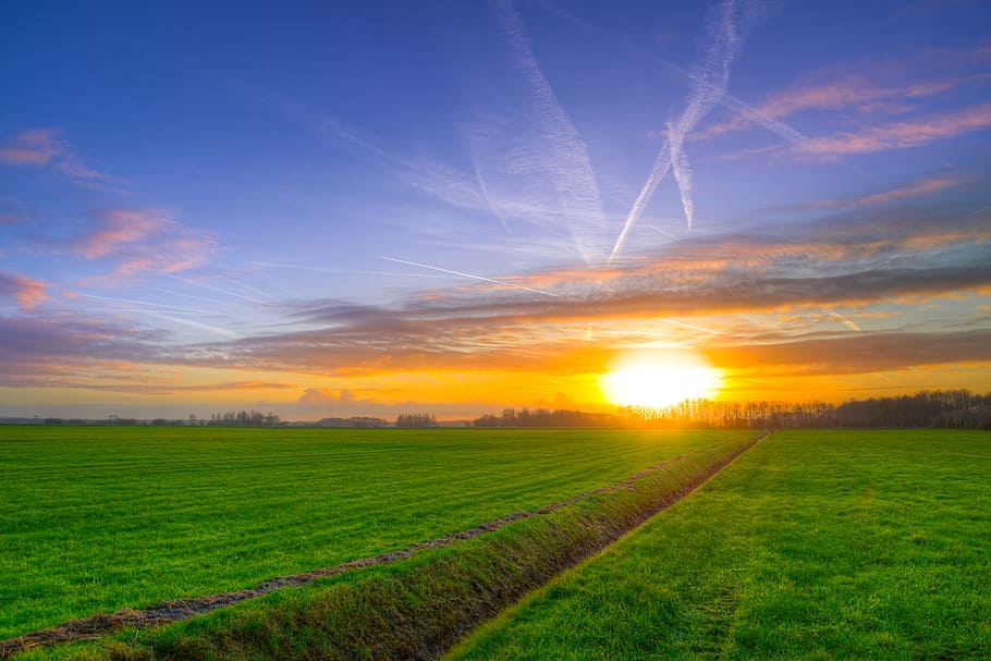 Photography of Green Grass Field during Golden Hour, agriculture