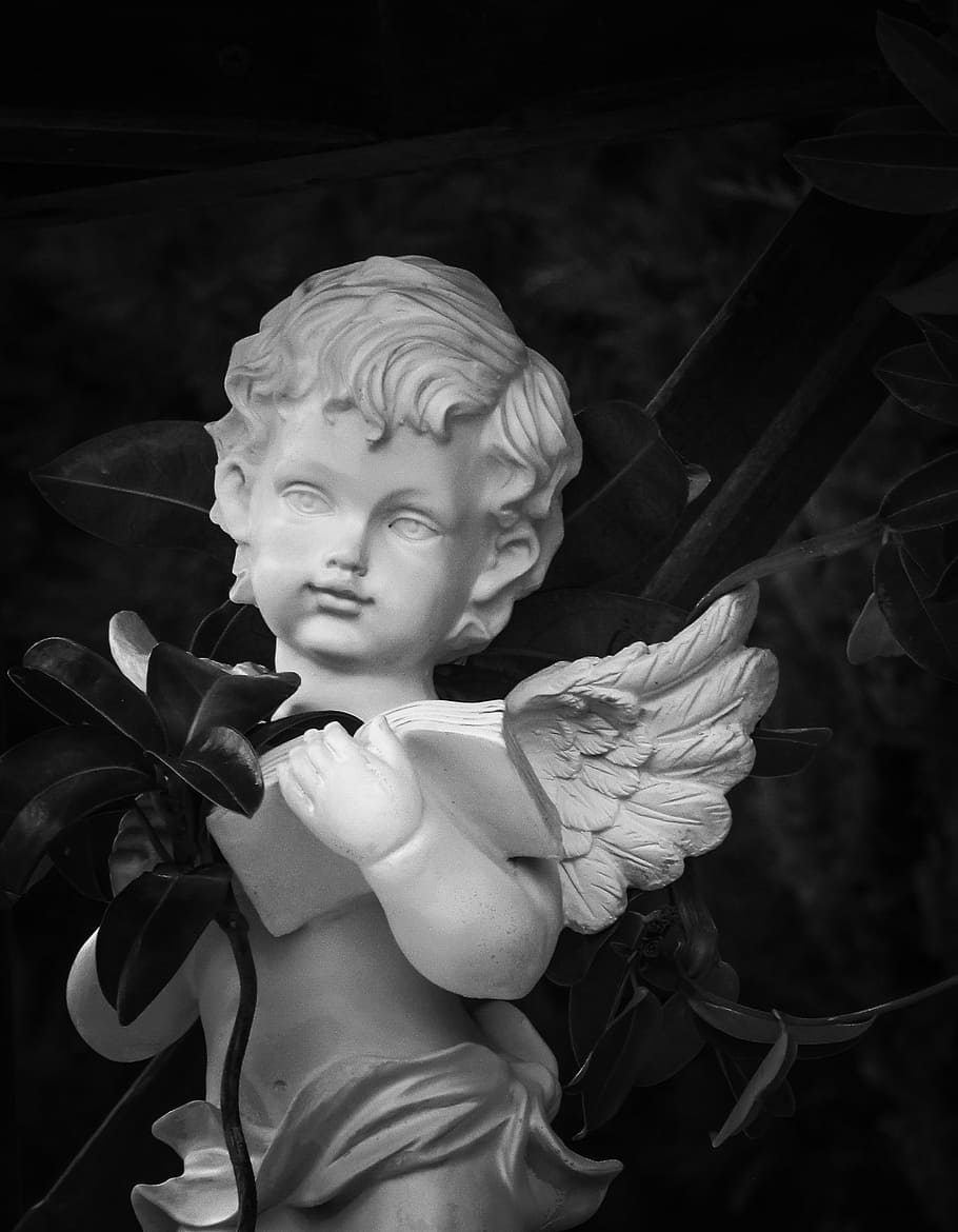 angel, wings, book, reading, holding, angelic, religion, symbol HD wallpaper