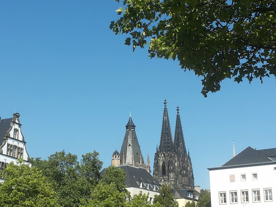 cologne, old town, dom, built structure, building exterior HD wallpaper