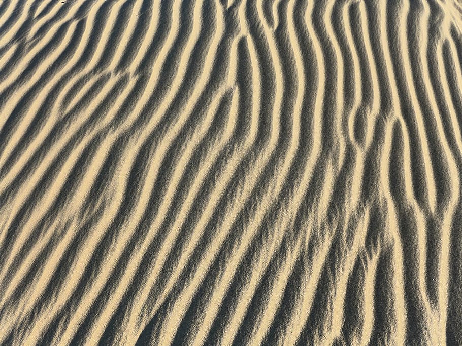 Hd Wallpaper Desert Sand Dune Background Pattern Wind Blowing Beach Wallpaper Flare