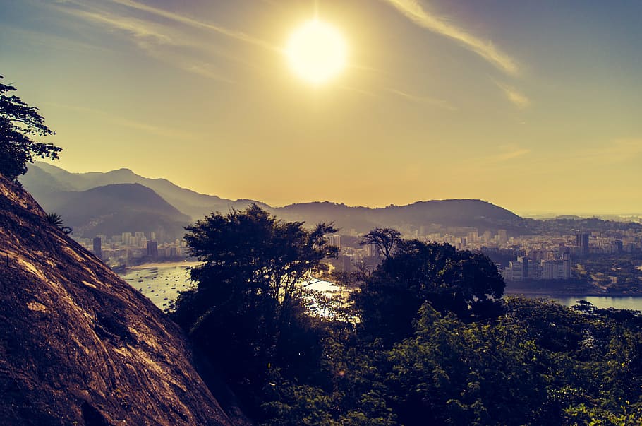 trees under sun, sugar loaf pão de açúcar, rio de janeiro, HD wallpaper