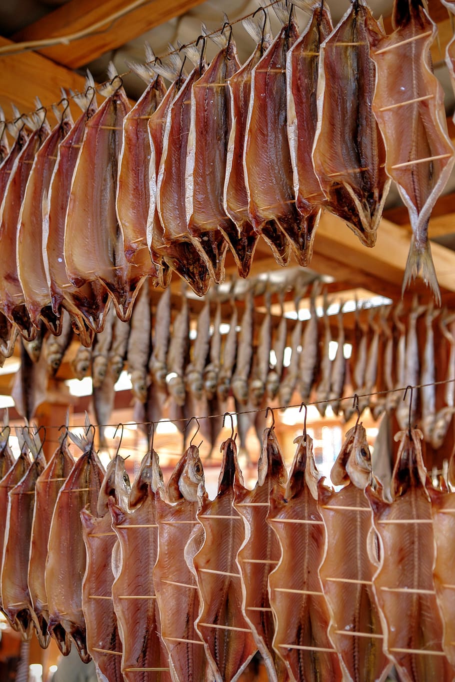 dried, fish, omul, baikalsee, russia, close, dried fish, food HD wallpaper